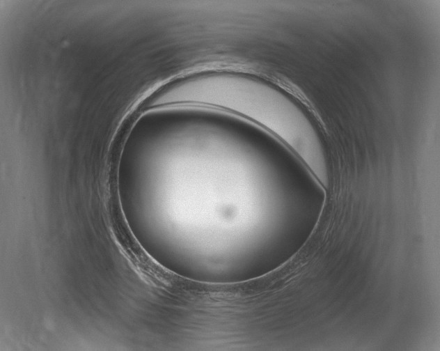X0000080740436200612150936