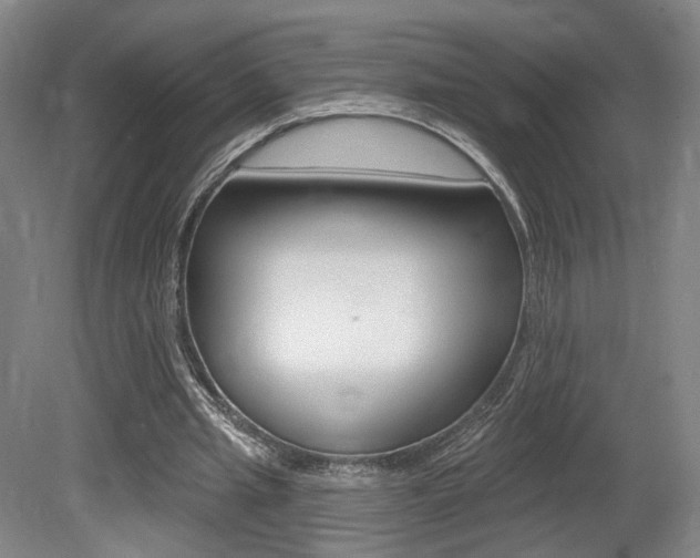 X0000080740437200612150936