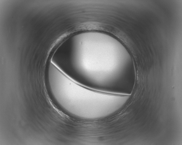 X0000080740438200612150936