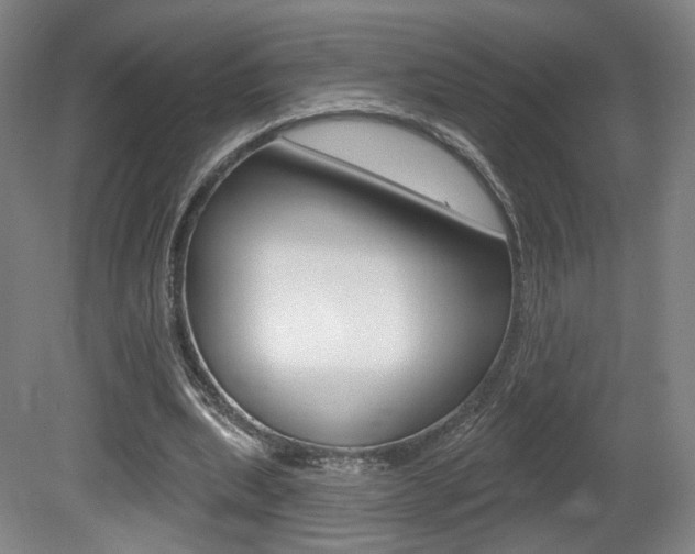 X0000080740439200612150936