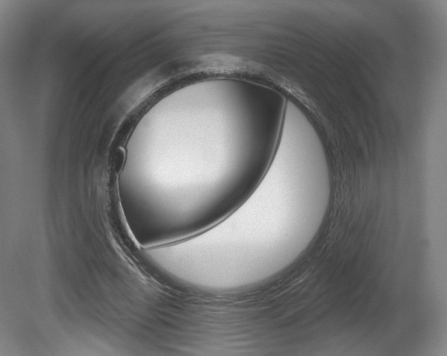 X0000080740440200612150936