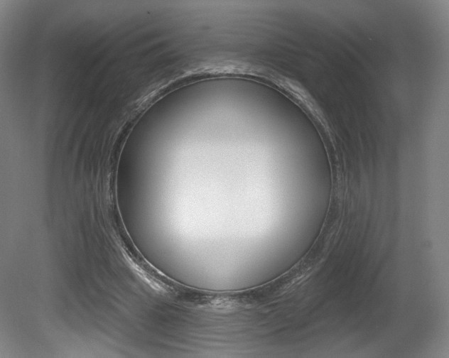 X0000080740441200612150936