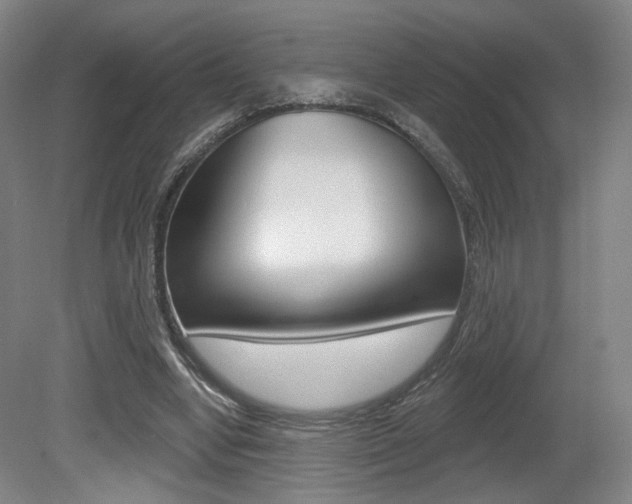 X0000080740442200612150936