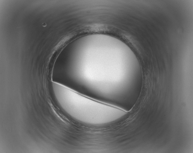 X0000080740443200612150936