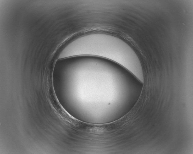 X0000080740444200612150936