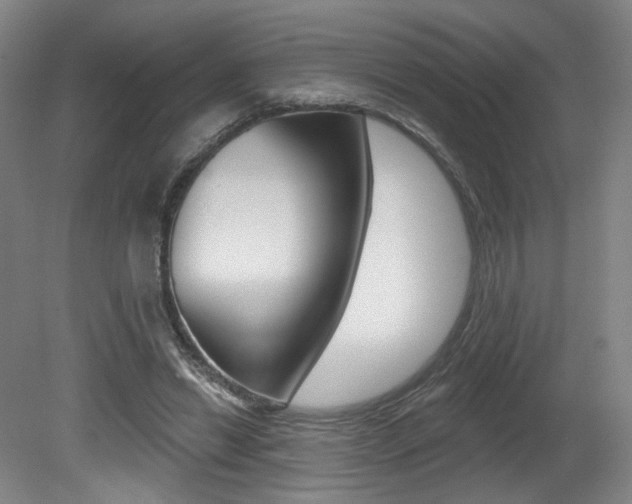 X0000080740446200612150936