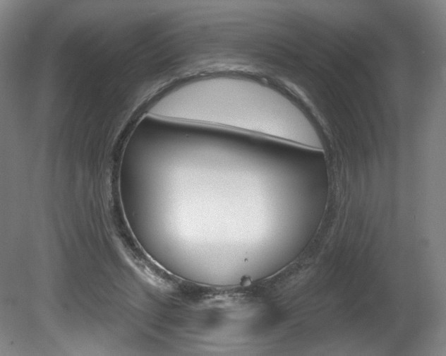 X0000080740447200612150936