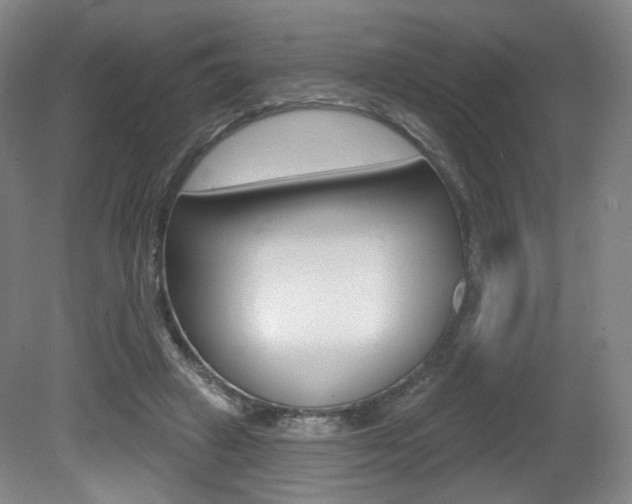 X0000080740449200612150936