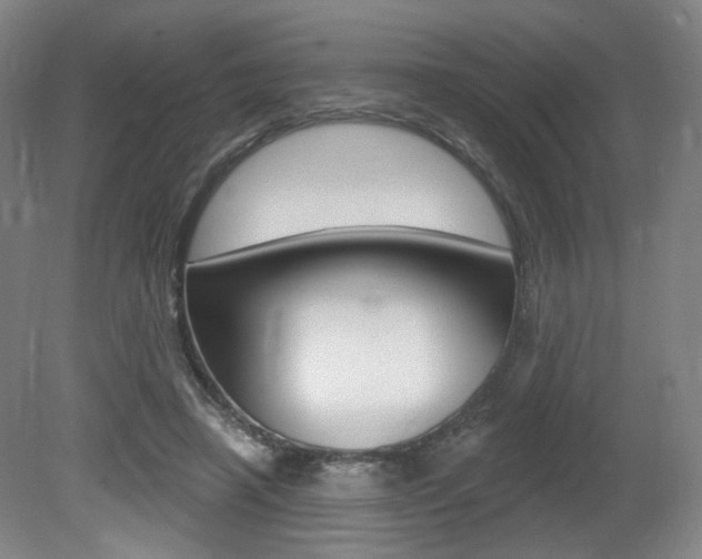 X0000080740450200612150936