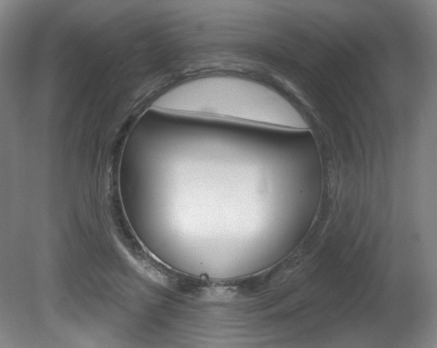 X0000080740451200612150936