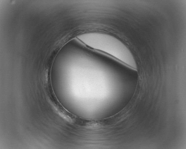 X0000080740454200612150936