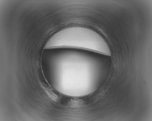 X0000080740455200612150936