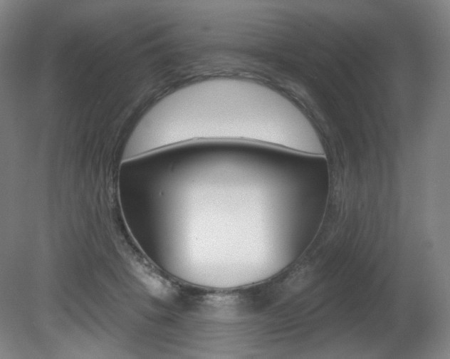 X0000080740457200612150936