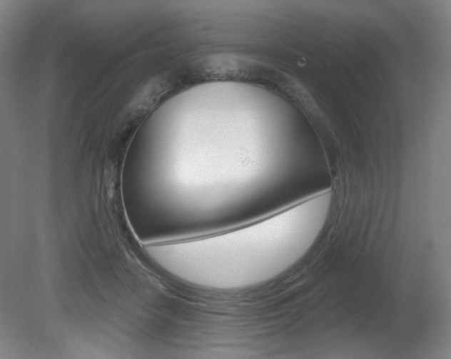 X0000080740458200612150936