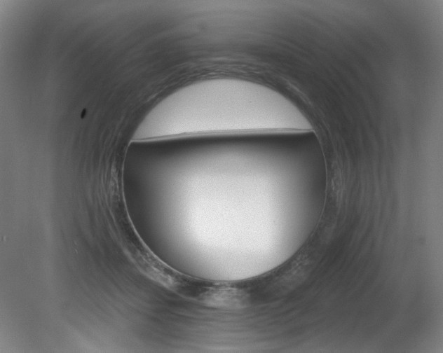 X0000080740459200612150936