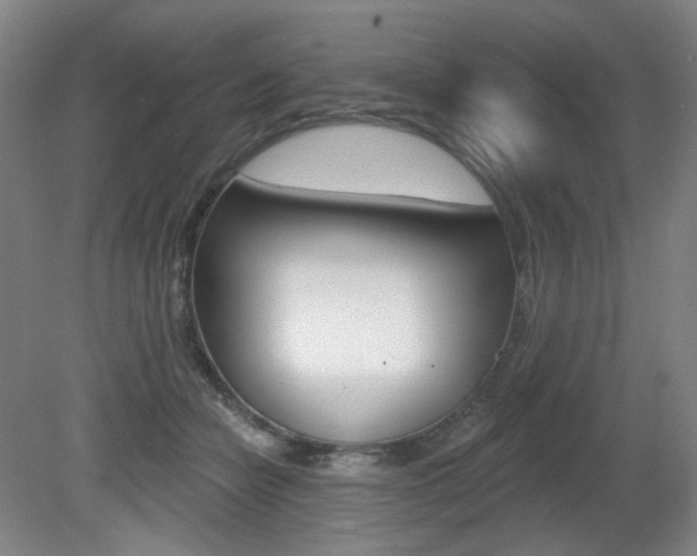 X0000080740462200612150936