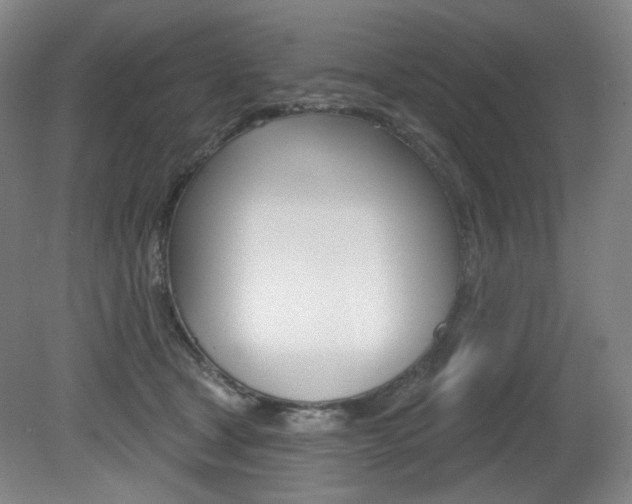 X0000080740465200612150936