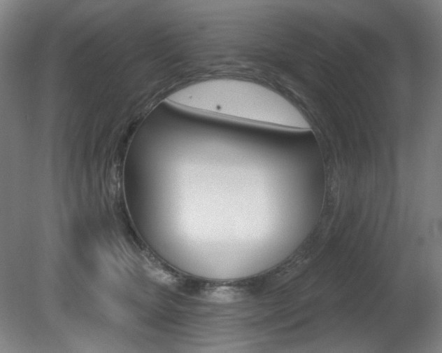 X0000080740467200612150936