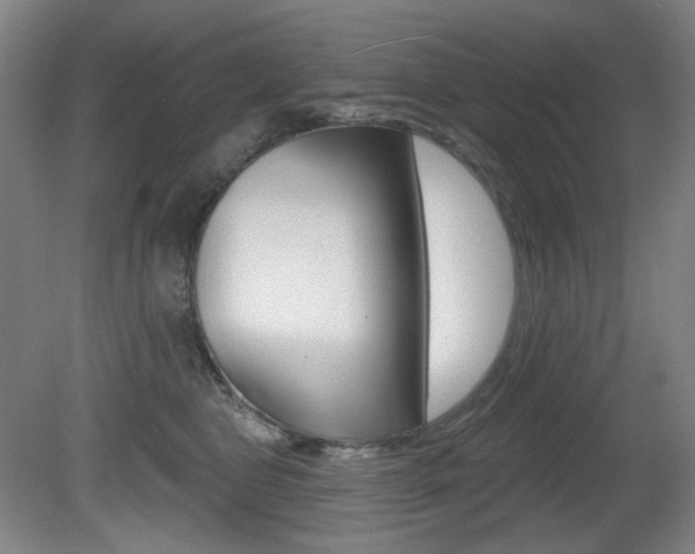 X0000080740469200612150936