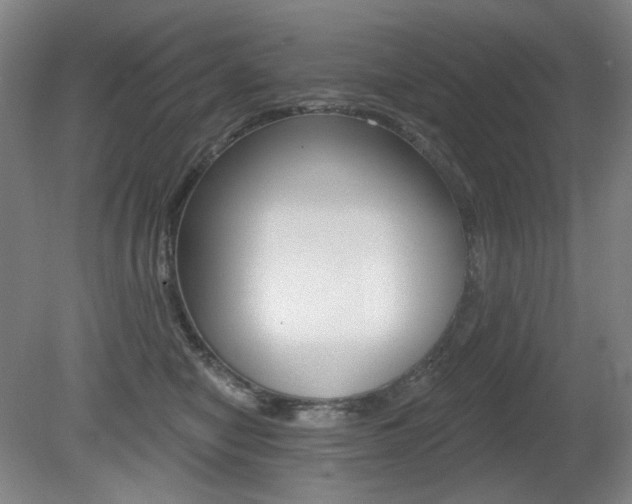X0000080740470200612150936