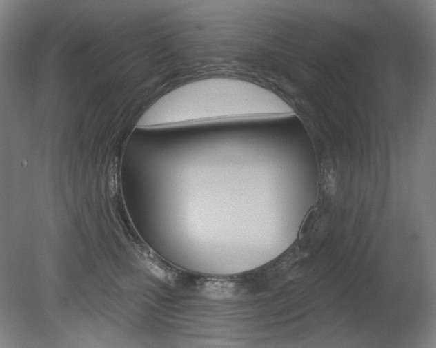 X0000080740471200612150936