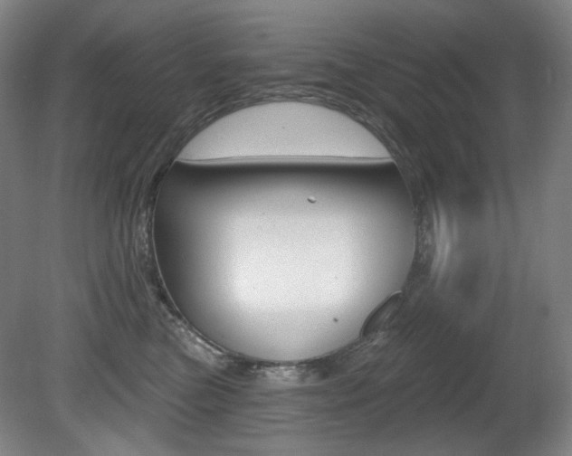 X0000080740473200612150937