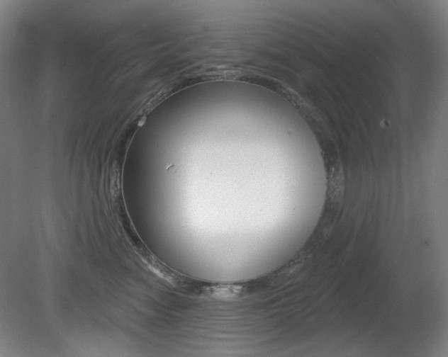 X0000080740474200612150937