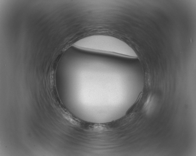 X0000080740475200612150937