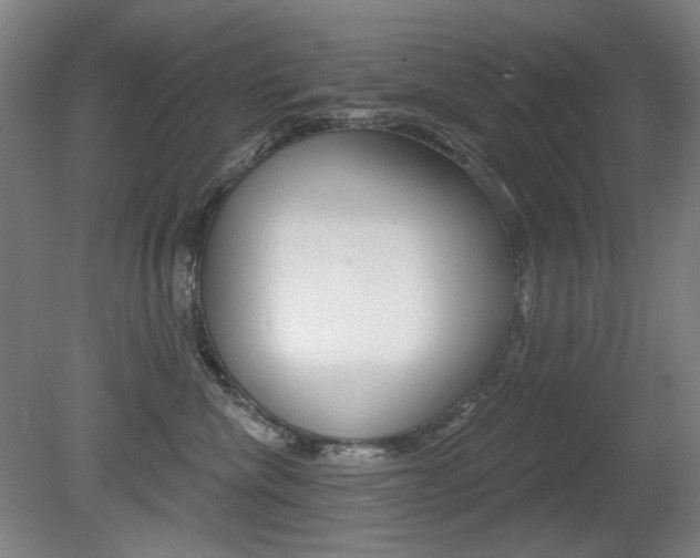 X0000080740476200612150937