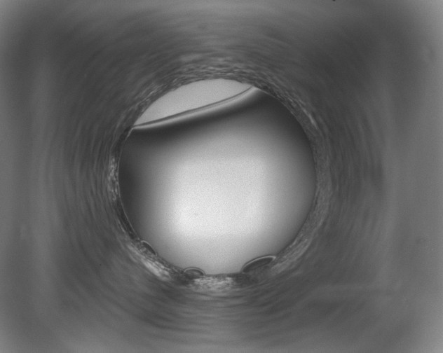 X0000080740480200612150937