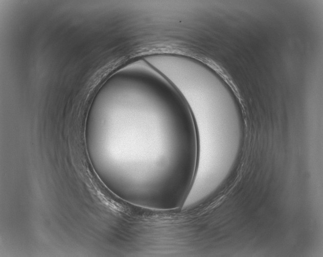 X0000080740481200612150936