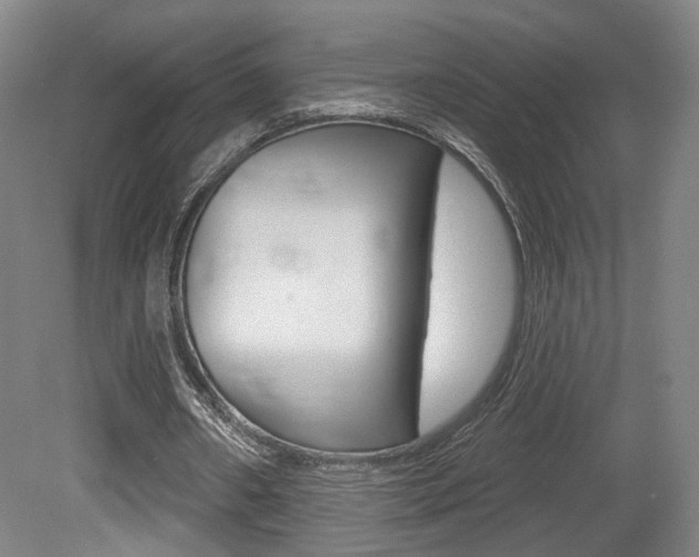 X0000080740482200612150936