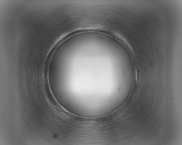 X0000080740483200612150936