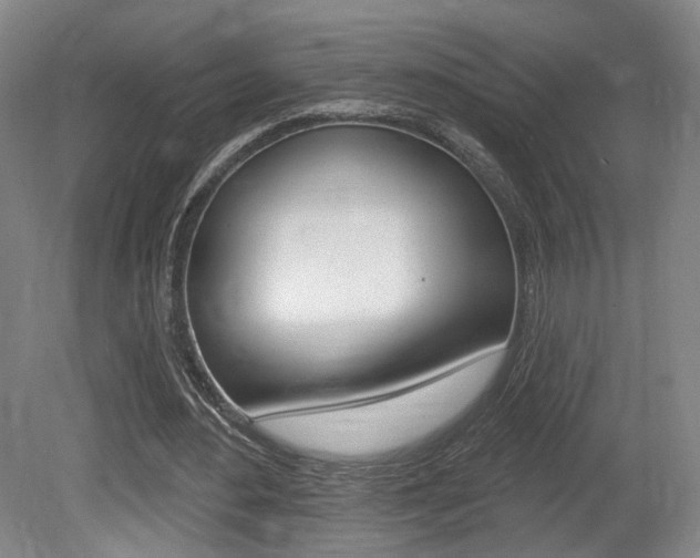 X0000080740484200612150936