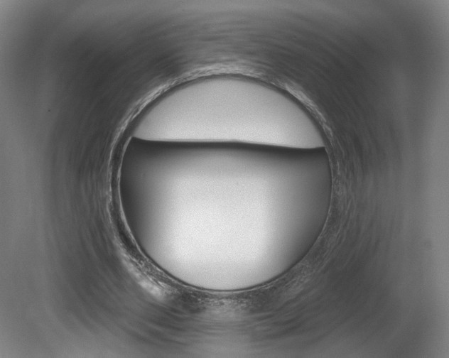 X0000080740486200612150936
