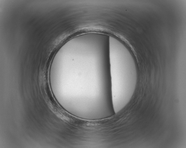 X0000080740487200612150936