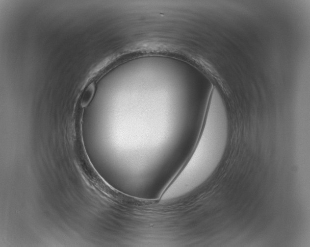 X0000080740488200612150936