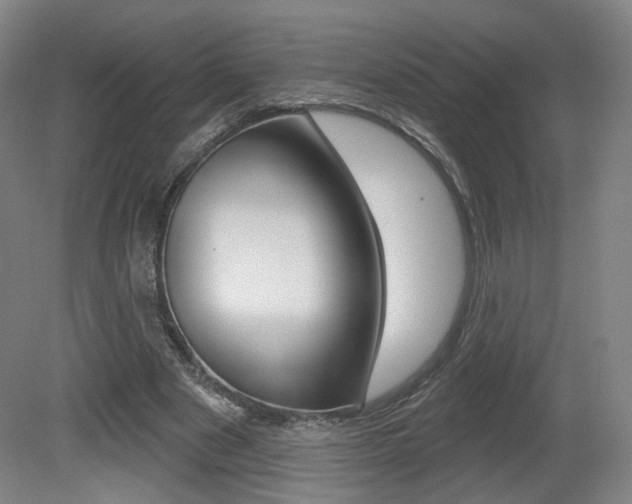 X0000080740489200612150936