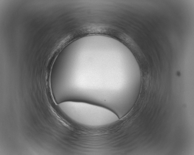X0000080740490200612150936