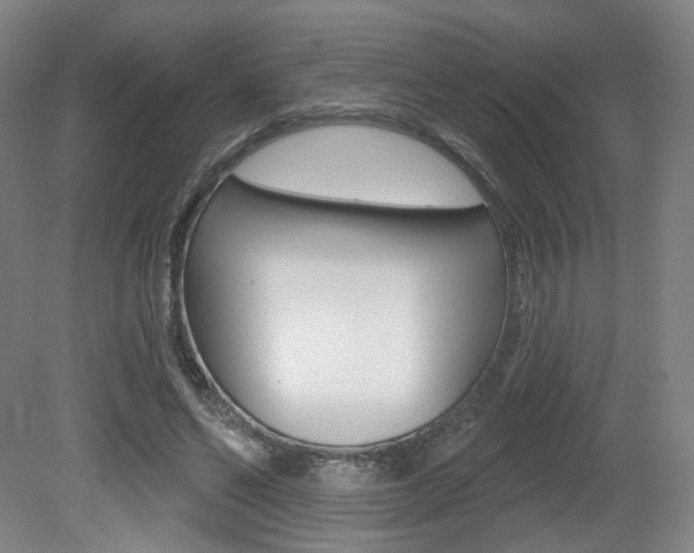 X0000080740494200612150936