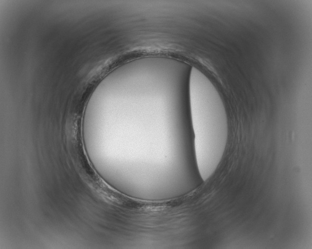 X0000080740495200612150936