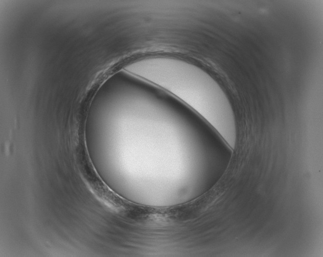 X0000080740496200612150936