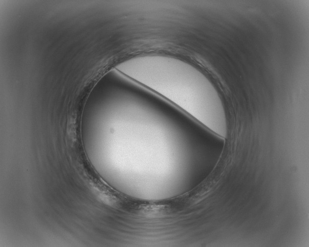 X0000080740497200612150936