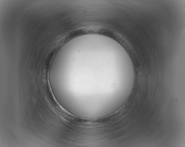 X0000080740498200612150936