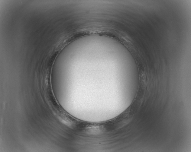 X0000080740499200612150936