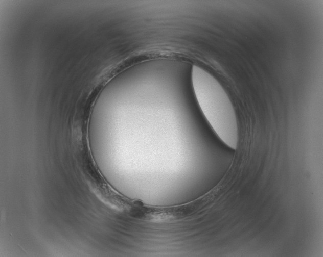 X0000080740500200612150936