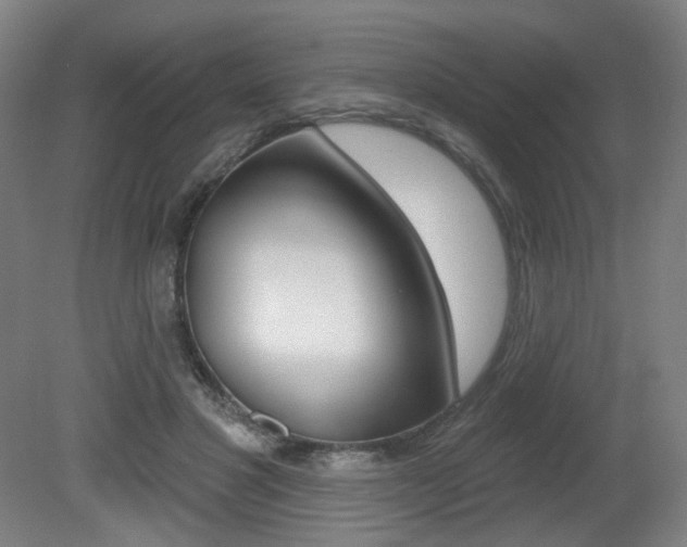 X0000080740501200612150936