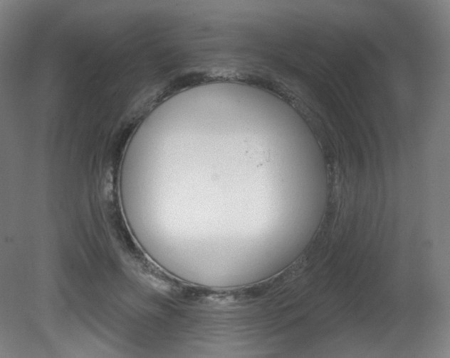 X0000080740502200612150935