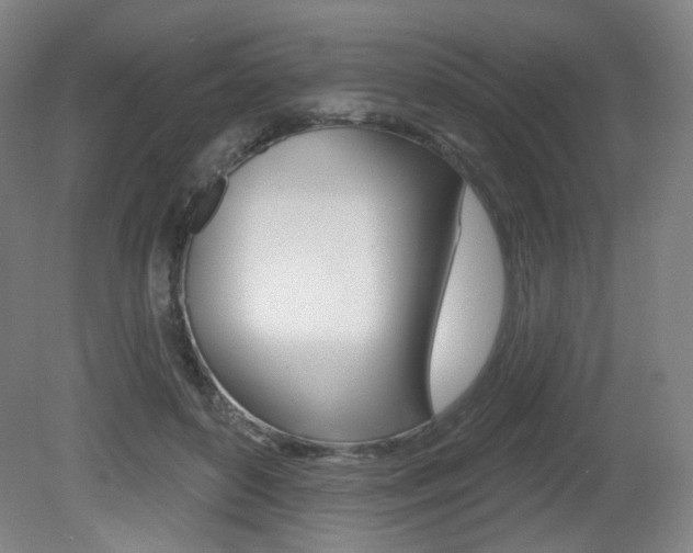 X0000080740504200612150935