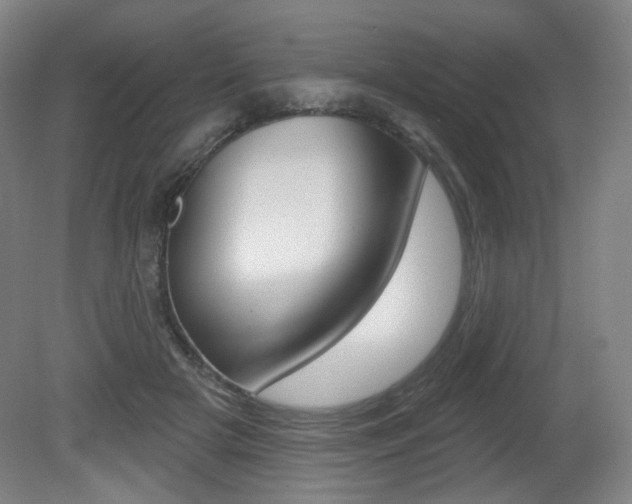 X0000080740505200612150935